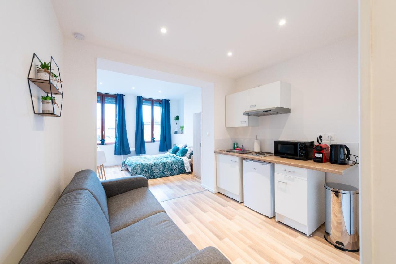 Anzin Cosy Location - Confortable, Cosy Et Equipe - Places Gratuites A Proximite מראה חיצוני תמונה