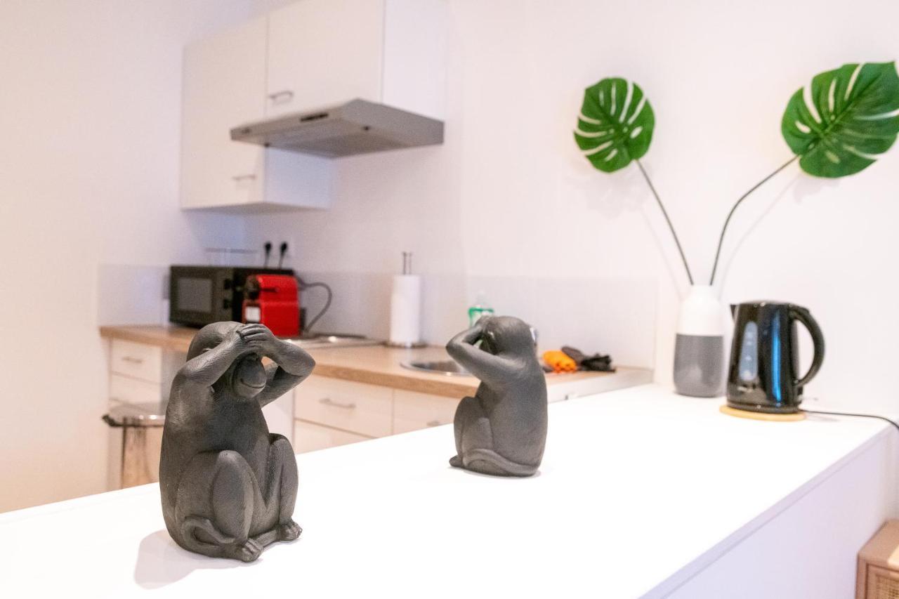 Anzin Cosy Location - Confortable, Cosy Et Equipe - Places Gratuites A Proximite מראה חיצוני תמונה